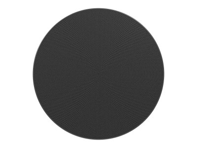 one-black-in-ceiling-1.jpg