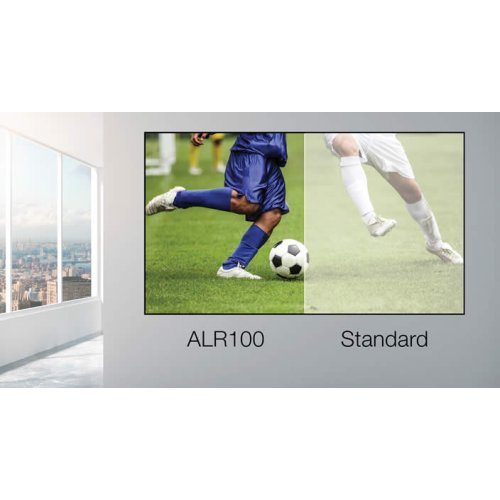 alr100-1.jpg