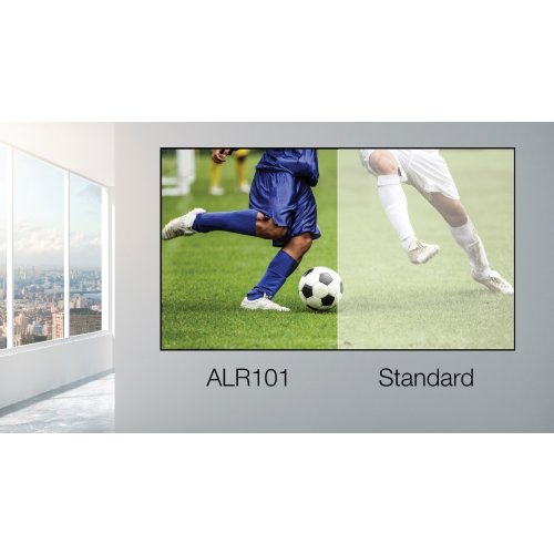 alr101-1-2.jpg
