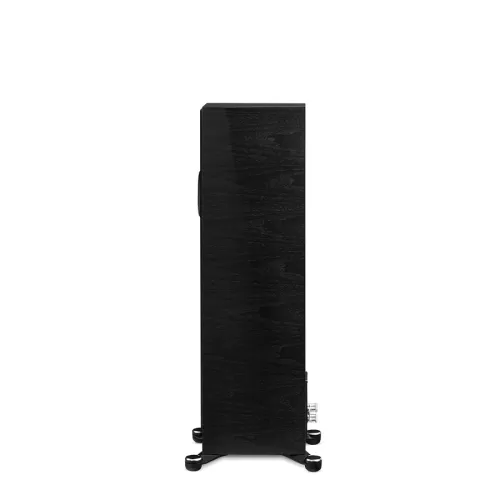 founder-80f-black-walnut-3.webp