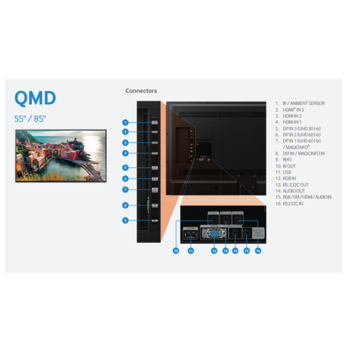 qmd-1.png