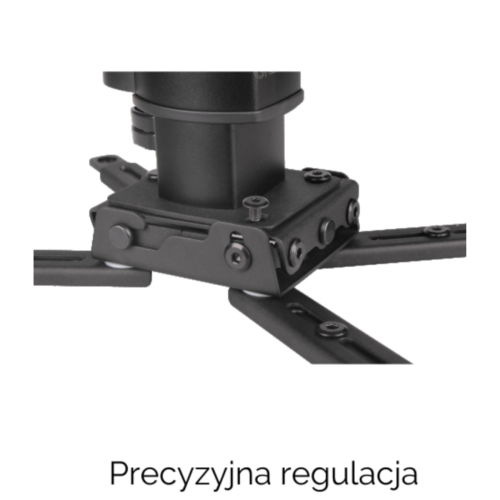 spider-elegant-2545-3.png
