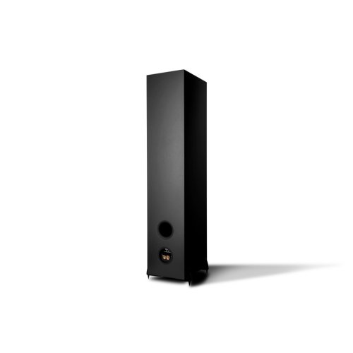 sx803.jpg