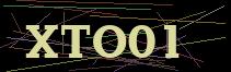 Token