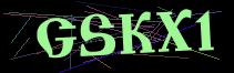 Token