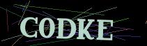 Token