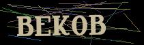 Token
