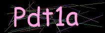 Token