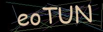 Token