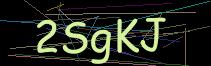 Token