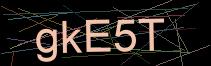 Token