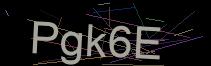 Token