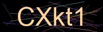 Token