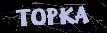 Token