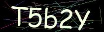 Token