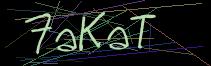 Token