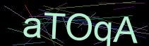 Token