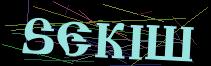 Token