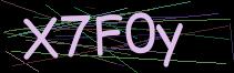 Token