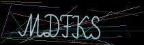 Token
