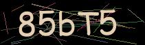 Token
