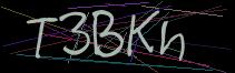 Token