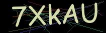 Token
